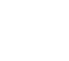 RIPO insektu sieti