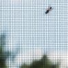 A fly on a Window Insect Screen - TIMBER, with a blurred outdoor view of sky, trees, and timber frames.